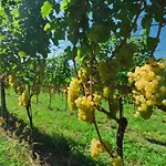 Hétvégi ház Weger