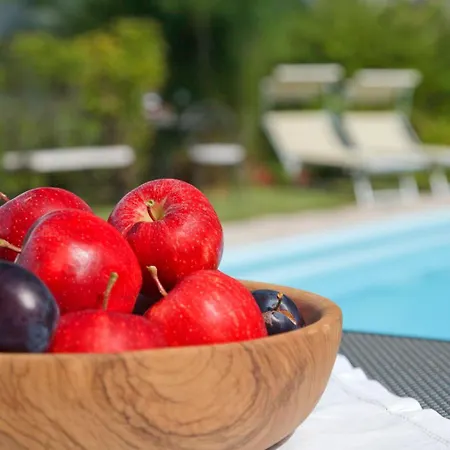 Літній будинок Weger *