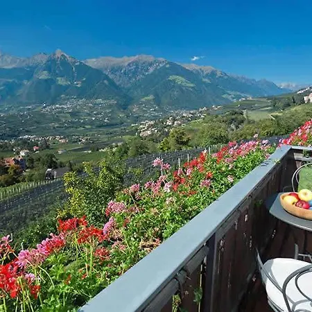 Weger Merano