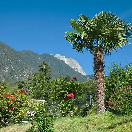 Літній будинок Weger