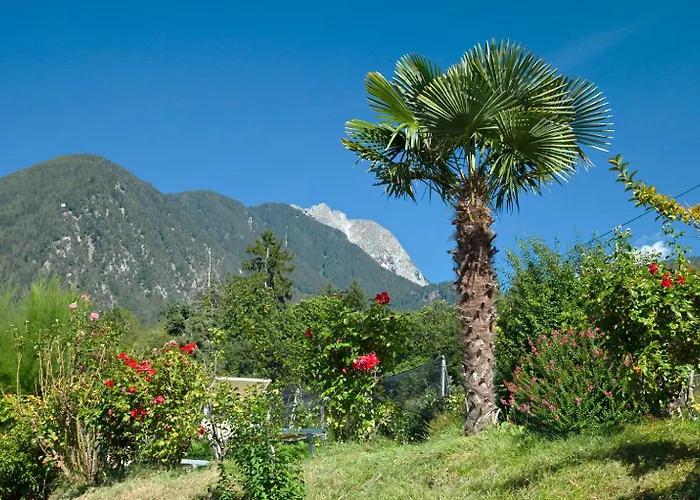 Літній будинок Weger